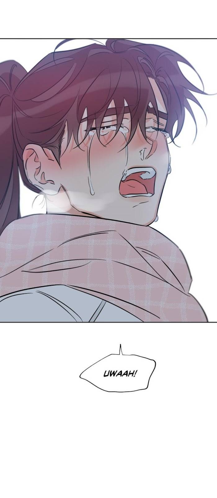 Page 43 of Chapter 33