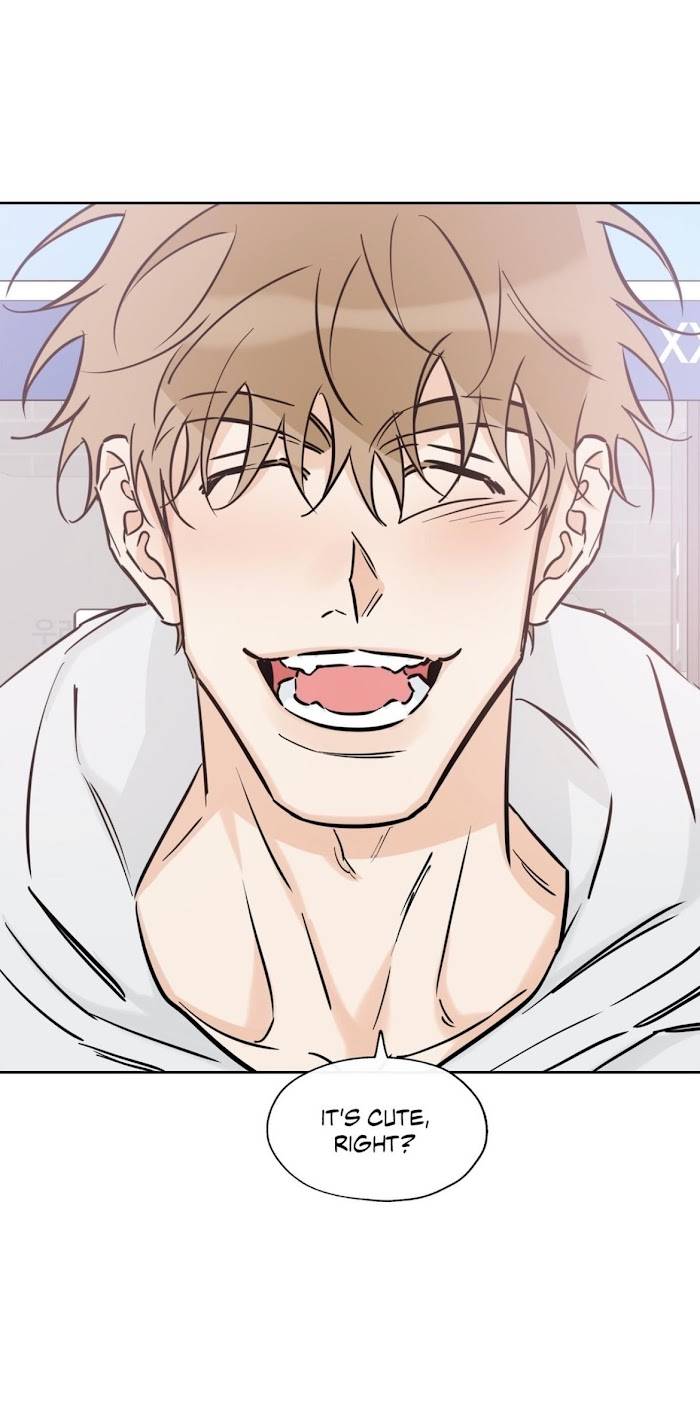 Page 15 of Chapter 38