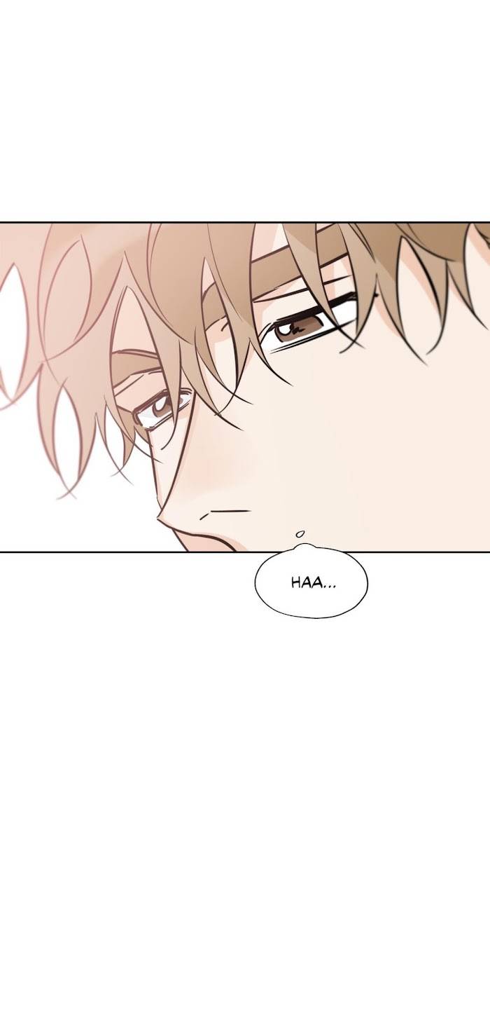 Page 36 of Chapter 38