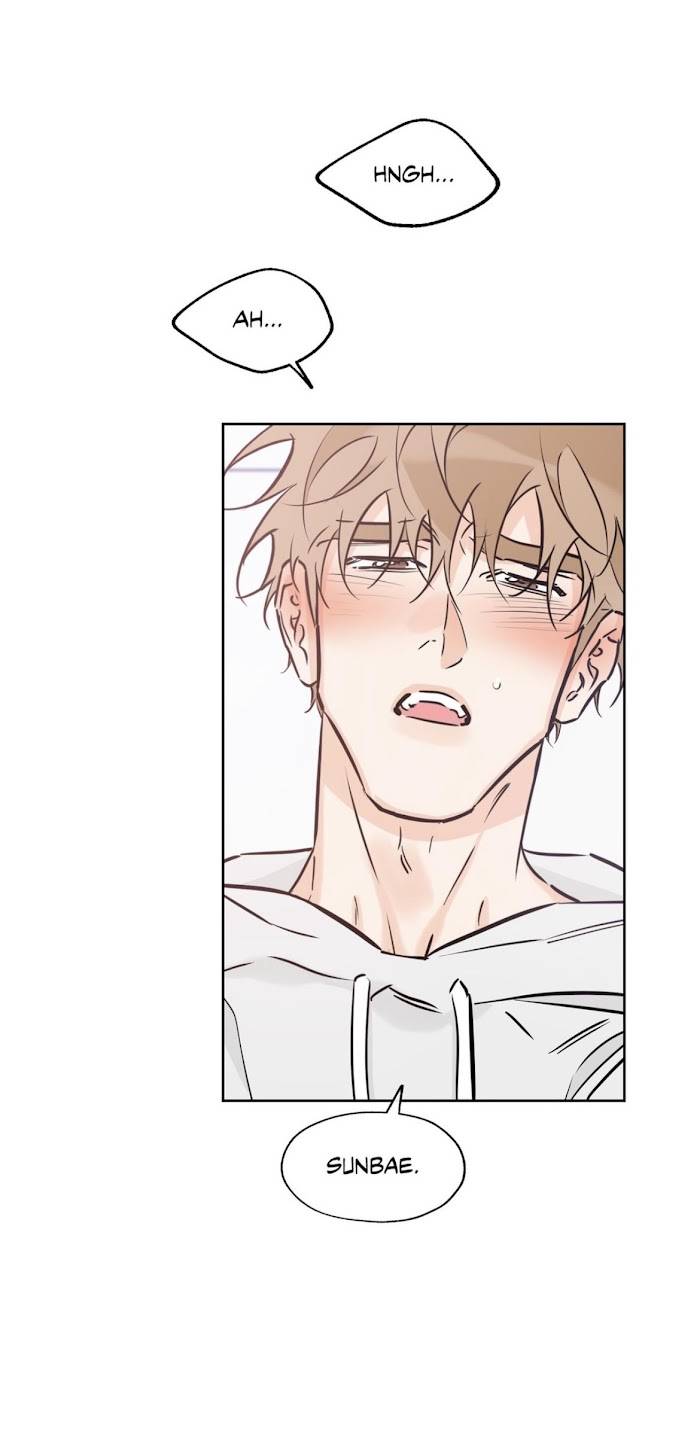 Page 17 of Chapter 39