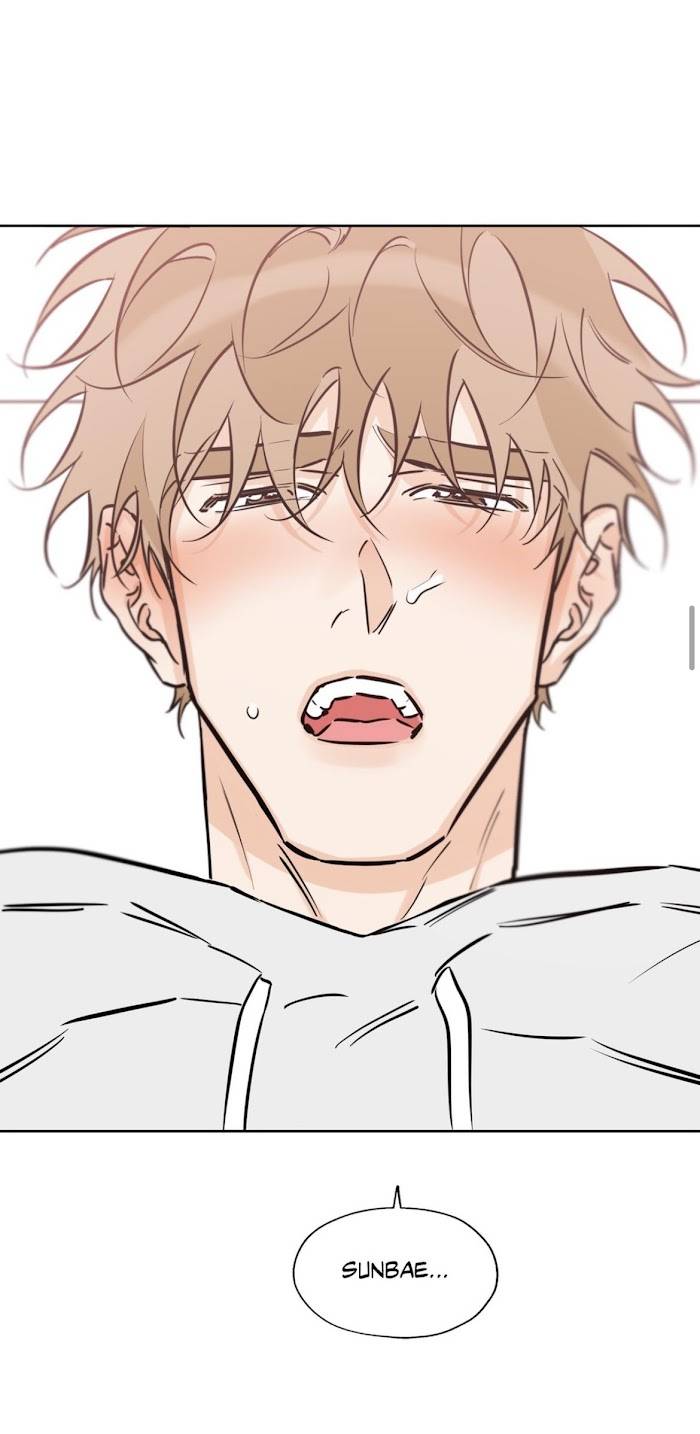 Page 21 of Chapter 39