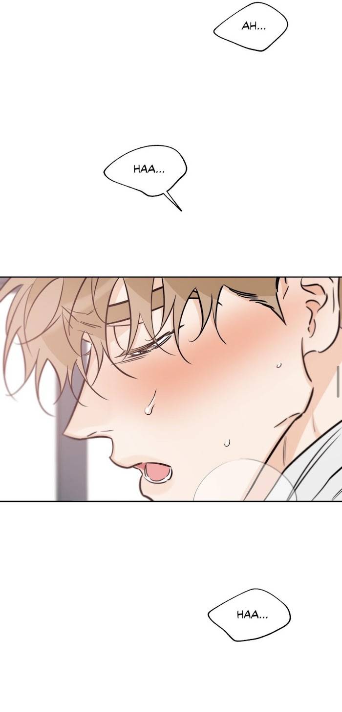 Page 26 of Chapter 39