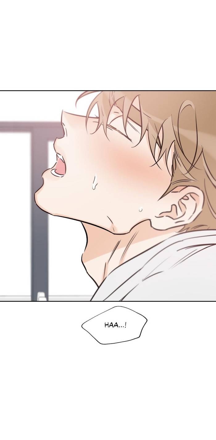 Page 29 of Chapter 39