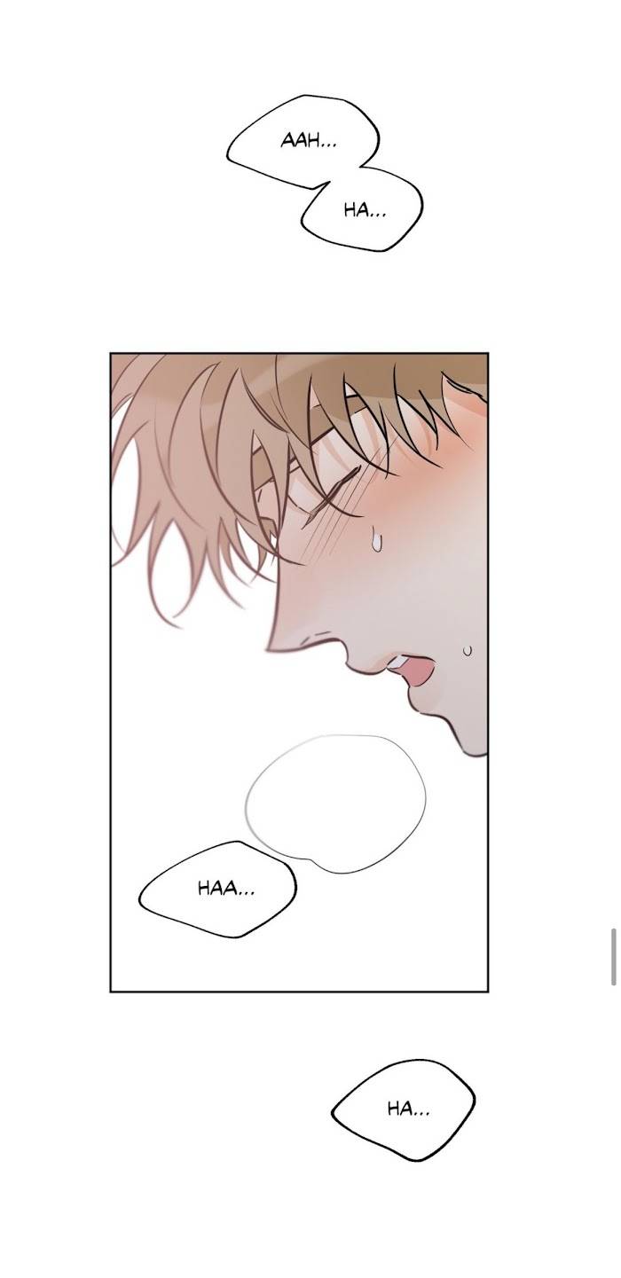 Page 44 of Chapter 39