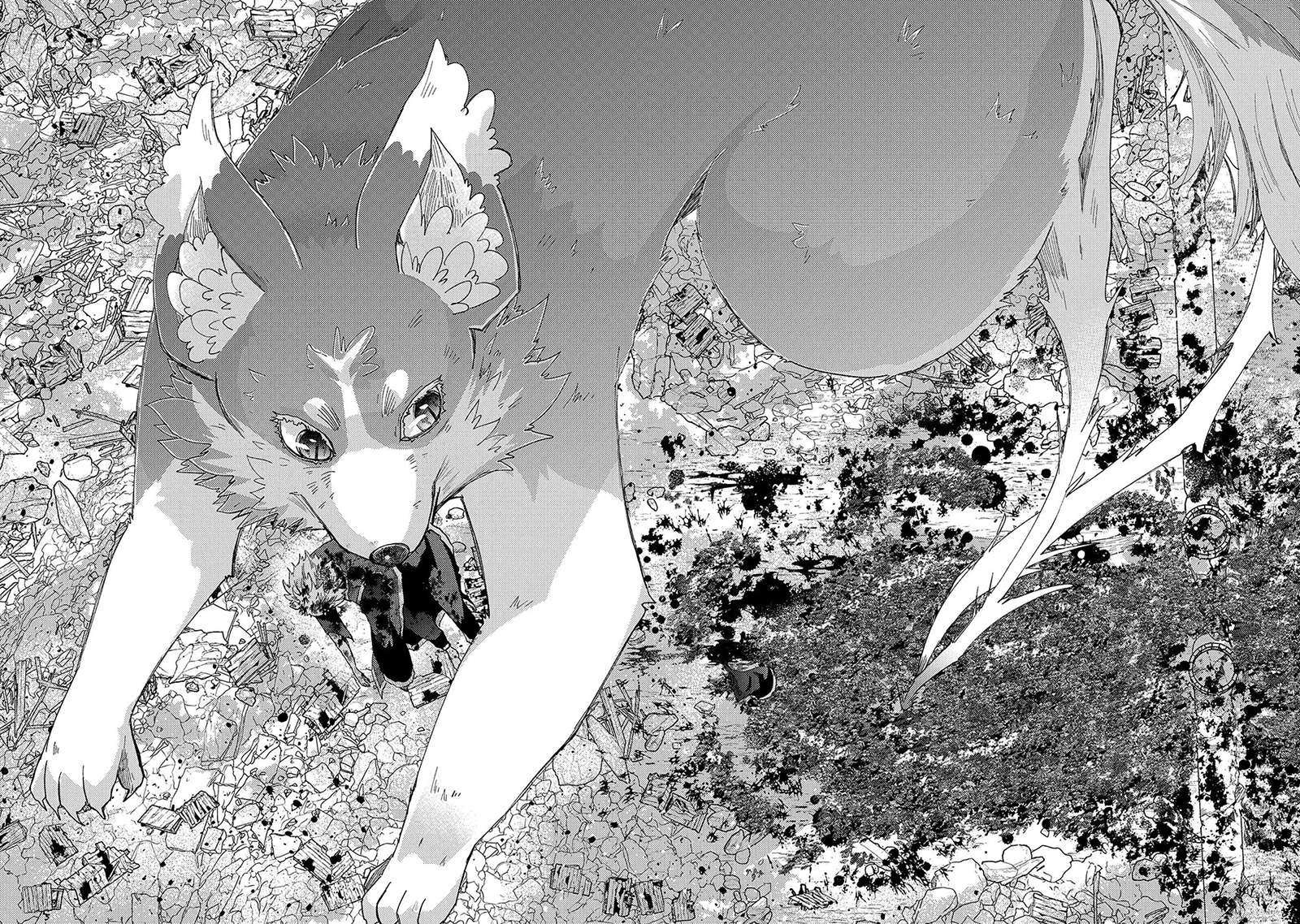 Page 15 of Chapter 56