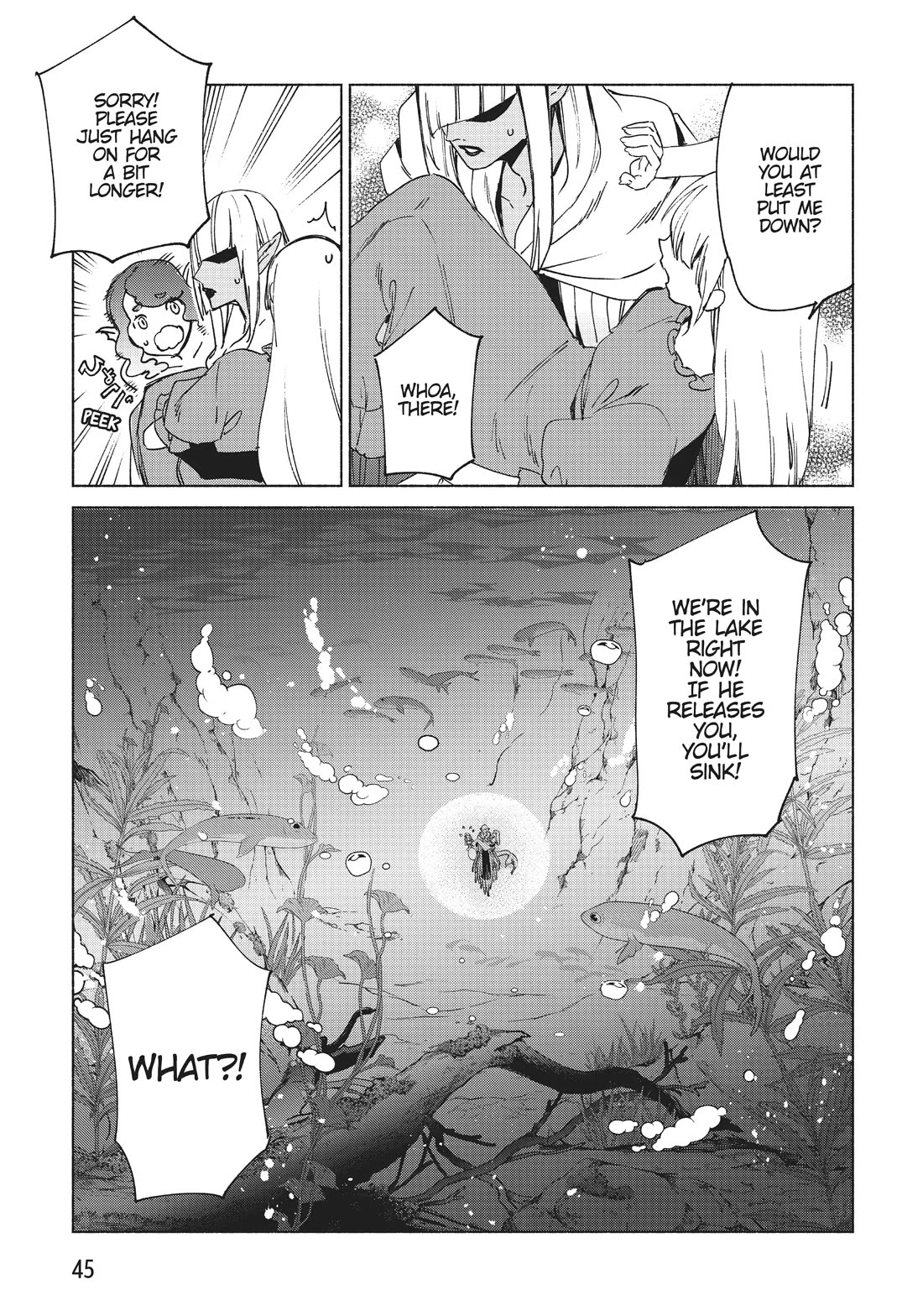 Page 17 of Chapter 63