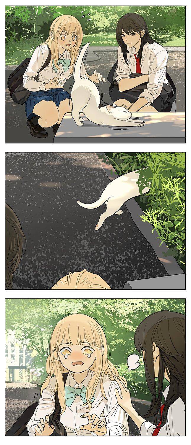 Page 4 of Chapter 205