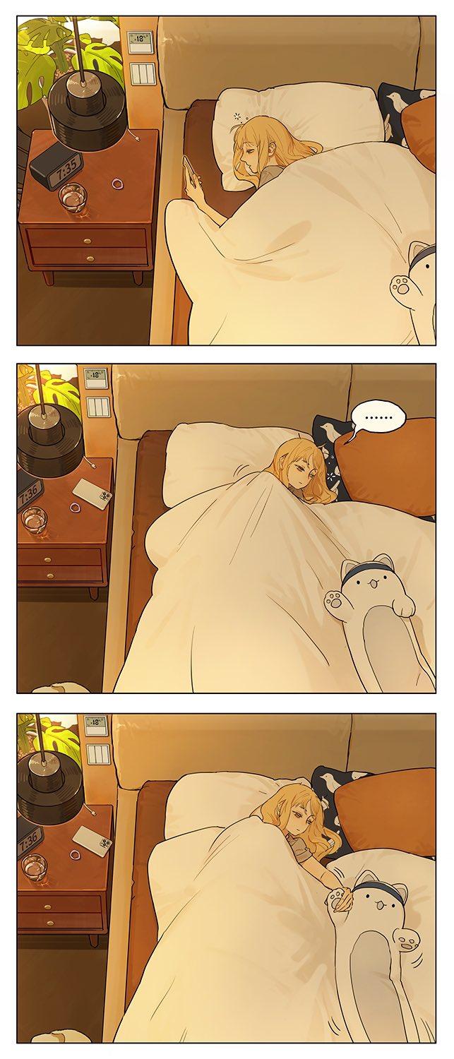 Page 3 of Chapter 243