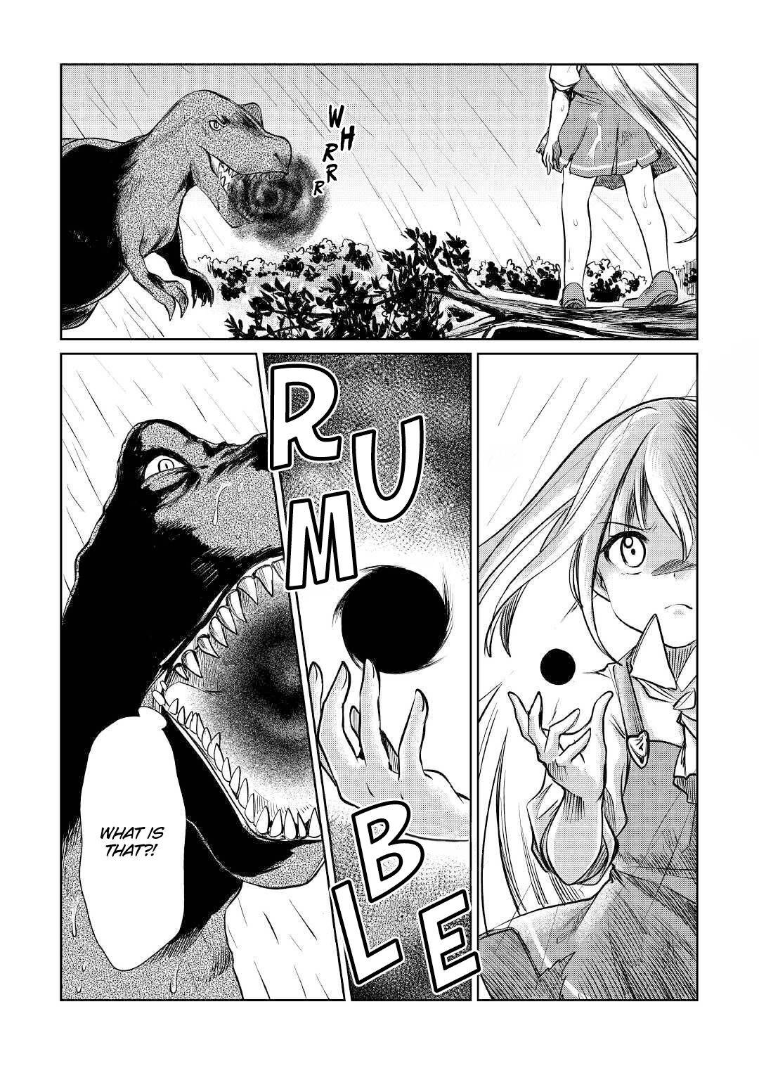 Page 13 of Chapter 17