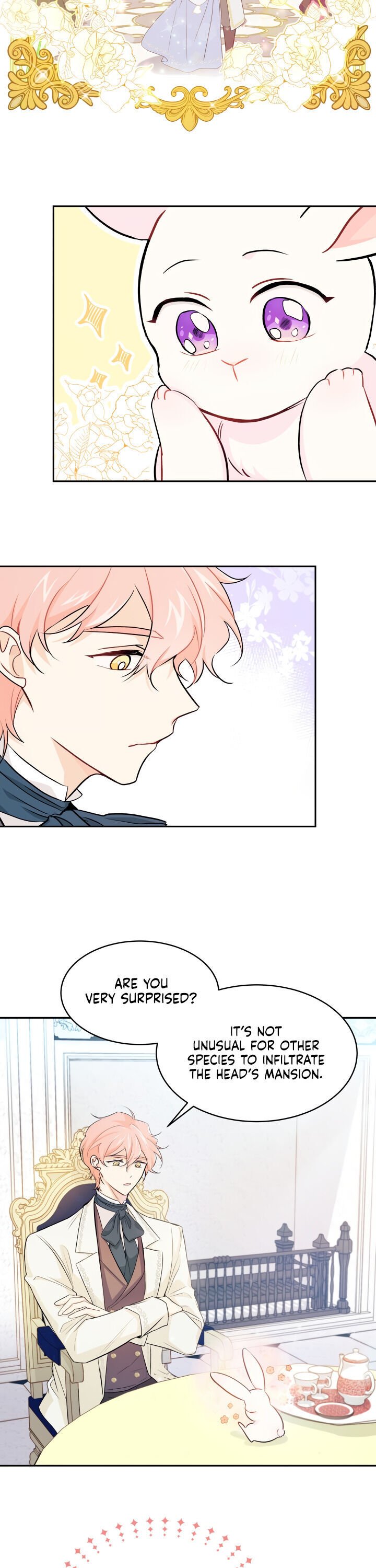 Page 13 of Chapter 15