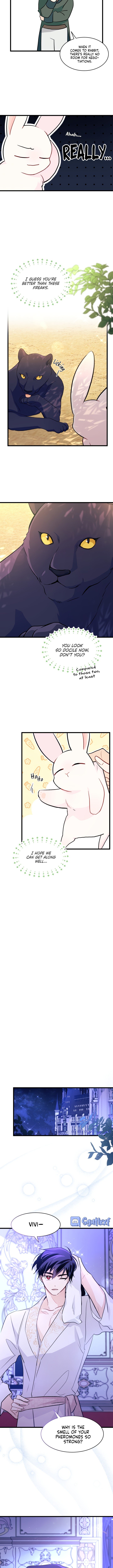 Page 8 of Chapter 23