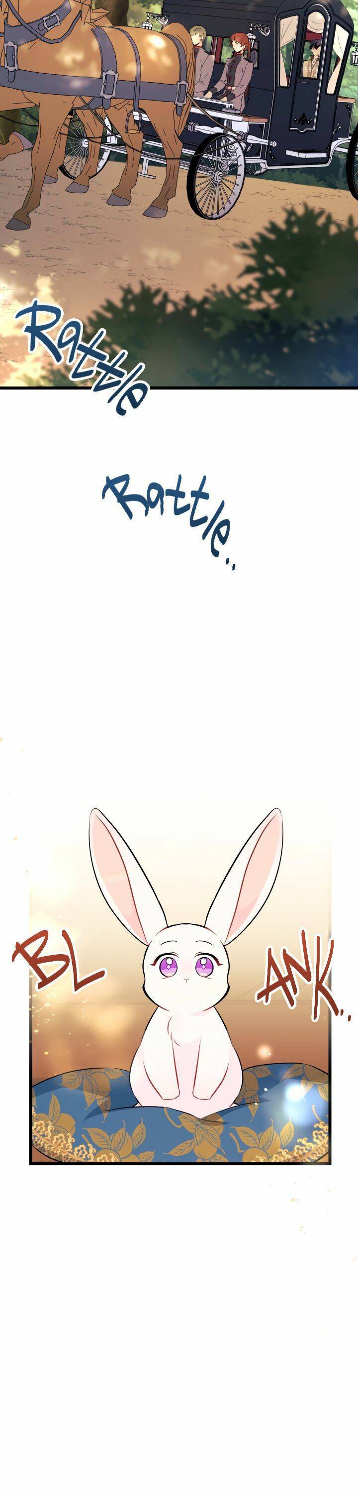Page 20 of Chapter 26