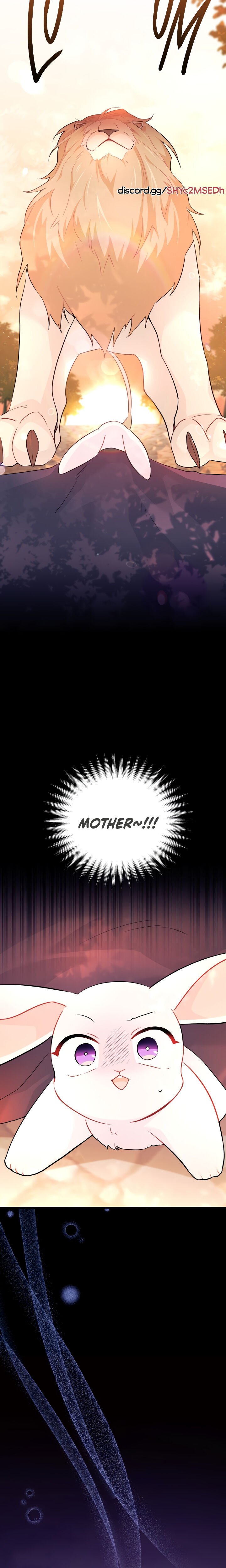 Page 20 of Chapter 33