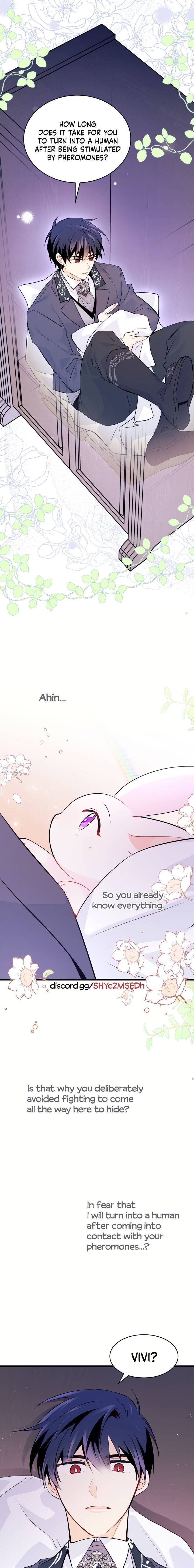 Page 17 of Chapter 36