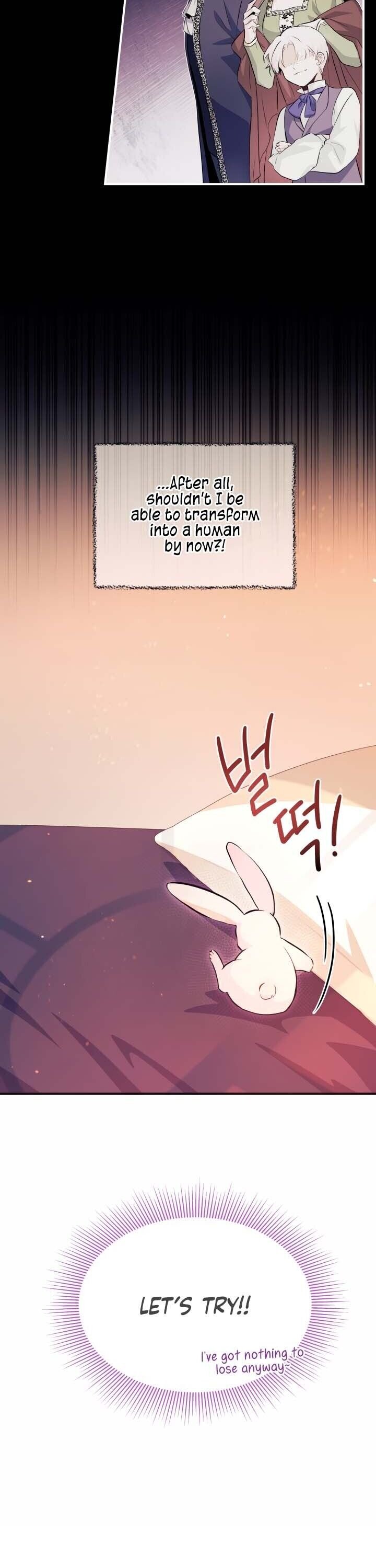 Page 17 of Chapter 5