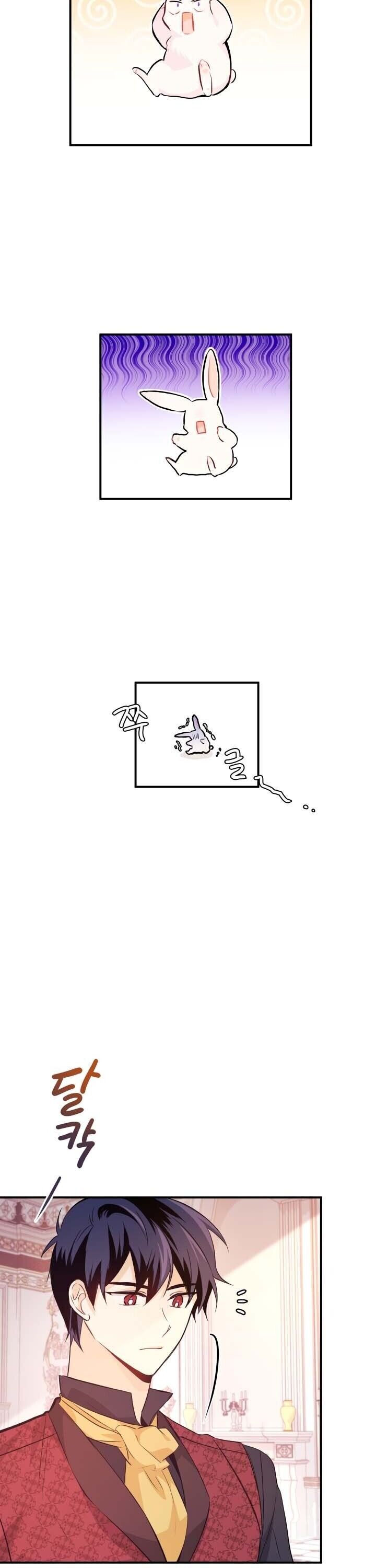 Page 19 of Chapter 5
