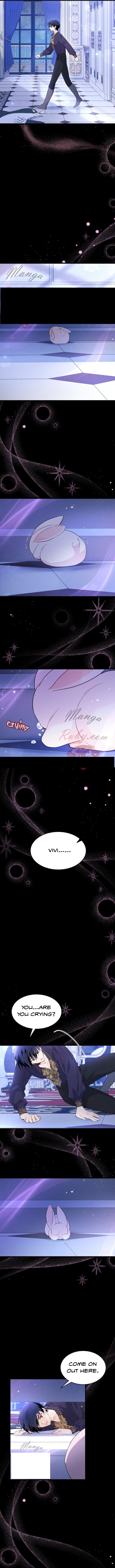 Page 5 of Chapter 58