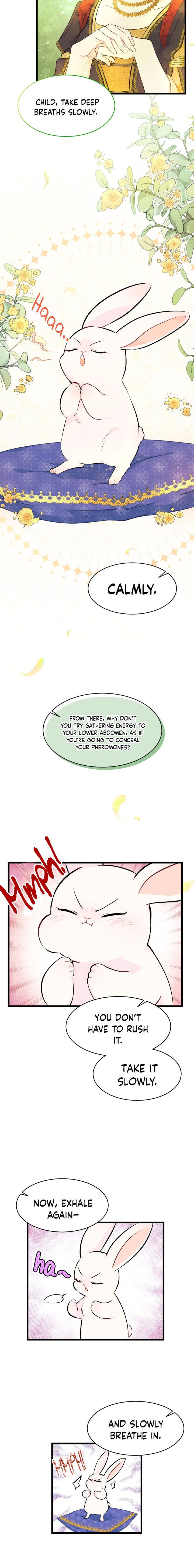 Page 3 of Chapter 8