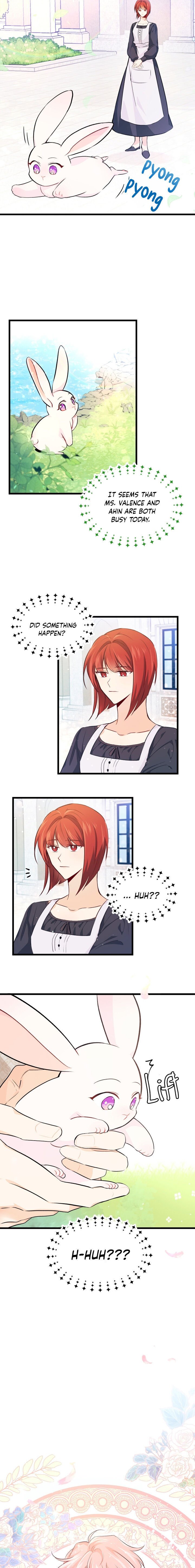 Page 17 of Chapter 8