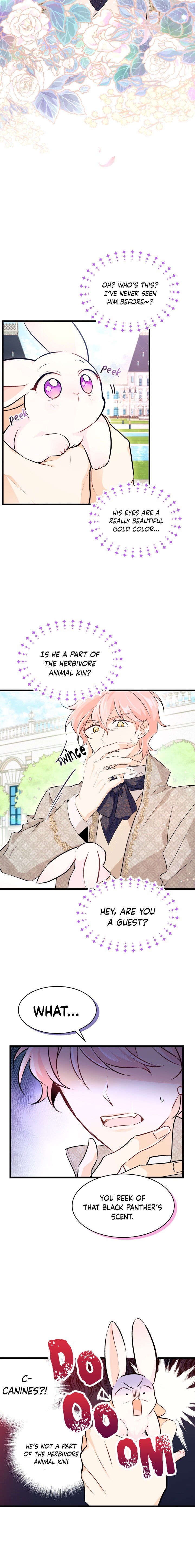 Page 19 of Chapter 8