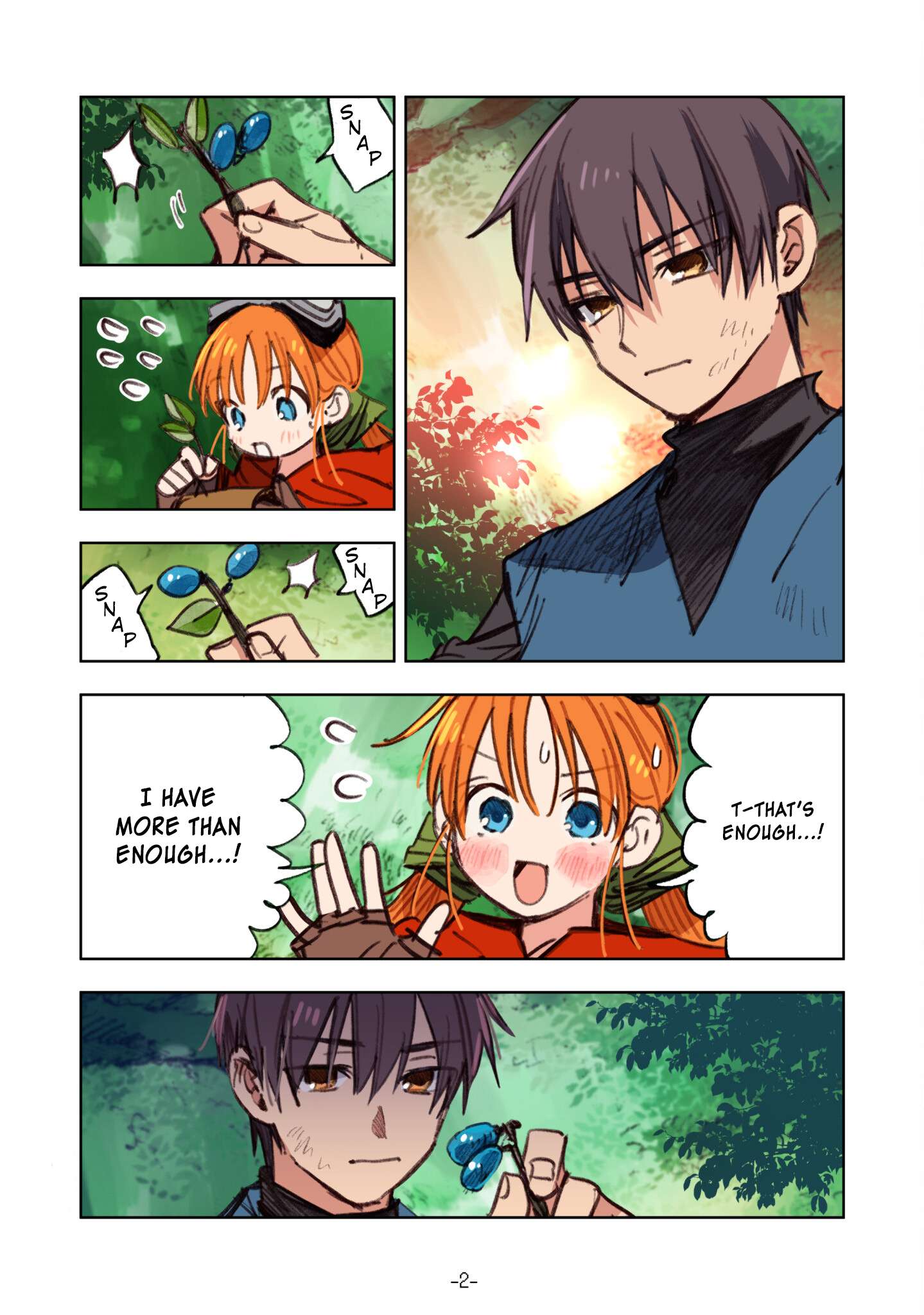 Page 2 of Chapter 12.5