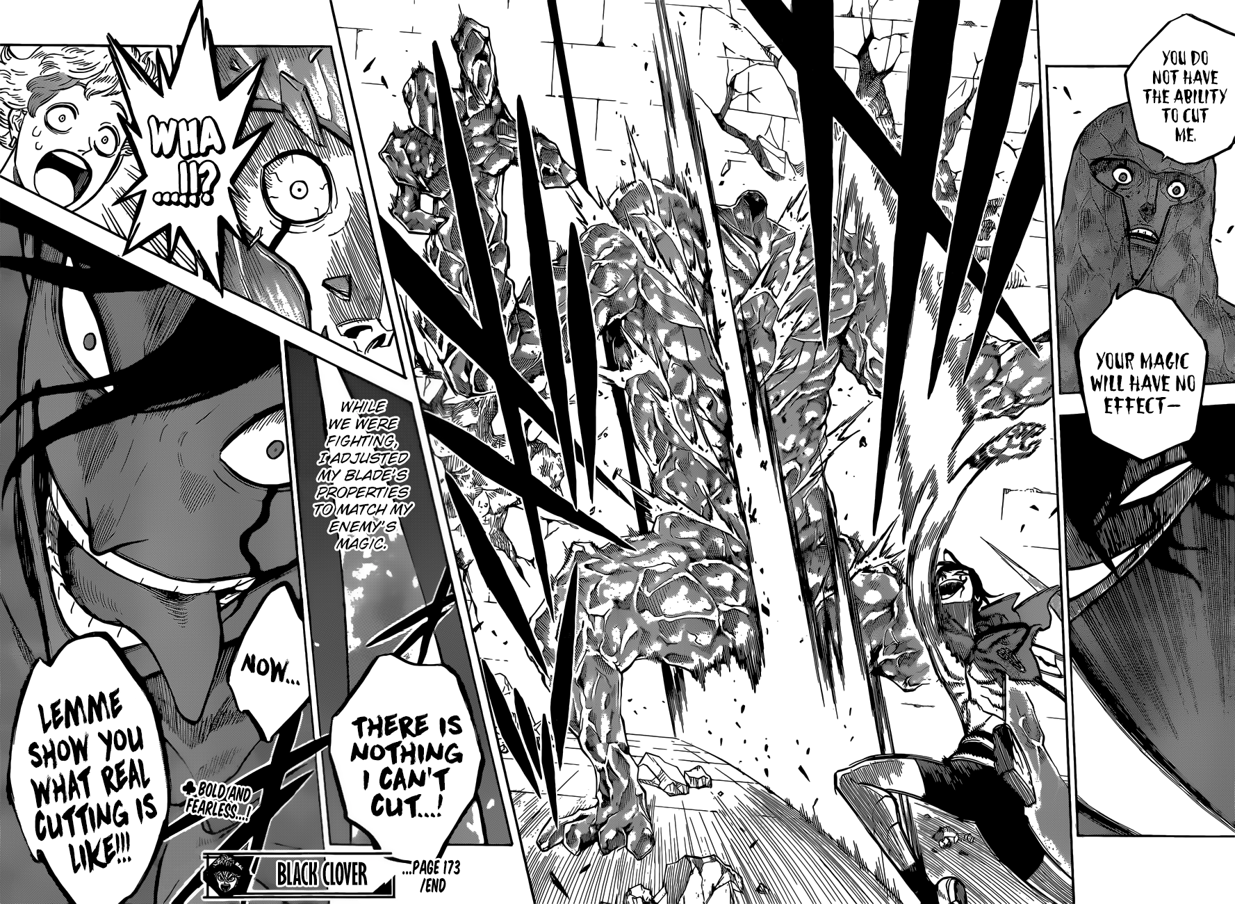 Page 17 of Chapter 173