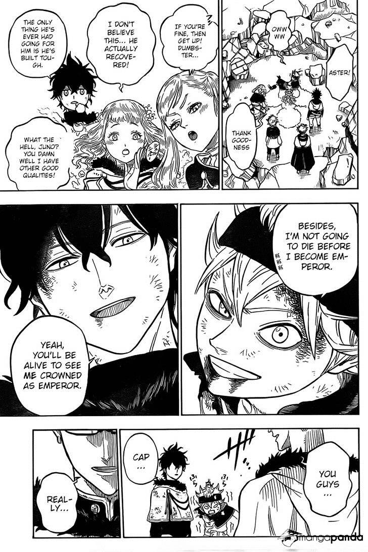 Page 17 of Chapter 21