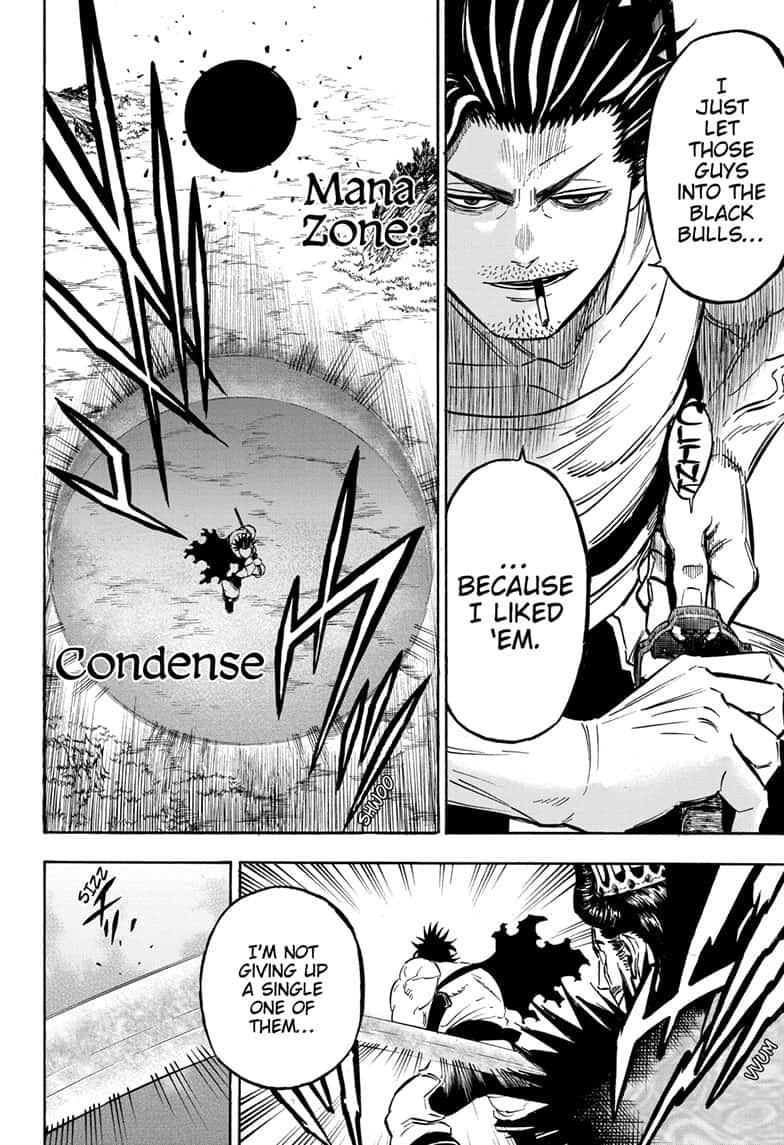 Page 13 of Chapter 245