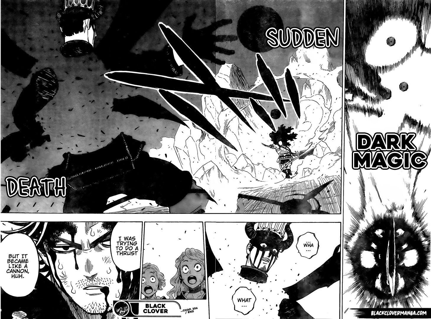 Page 12 of Chapter 256