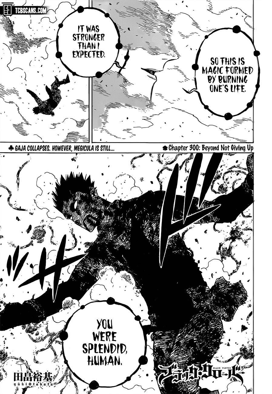 Page 1 of Chapter 300