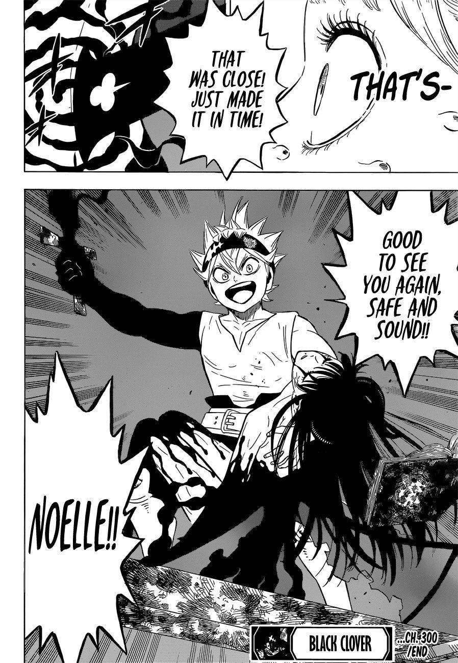 Page 13 of Chapter 300