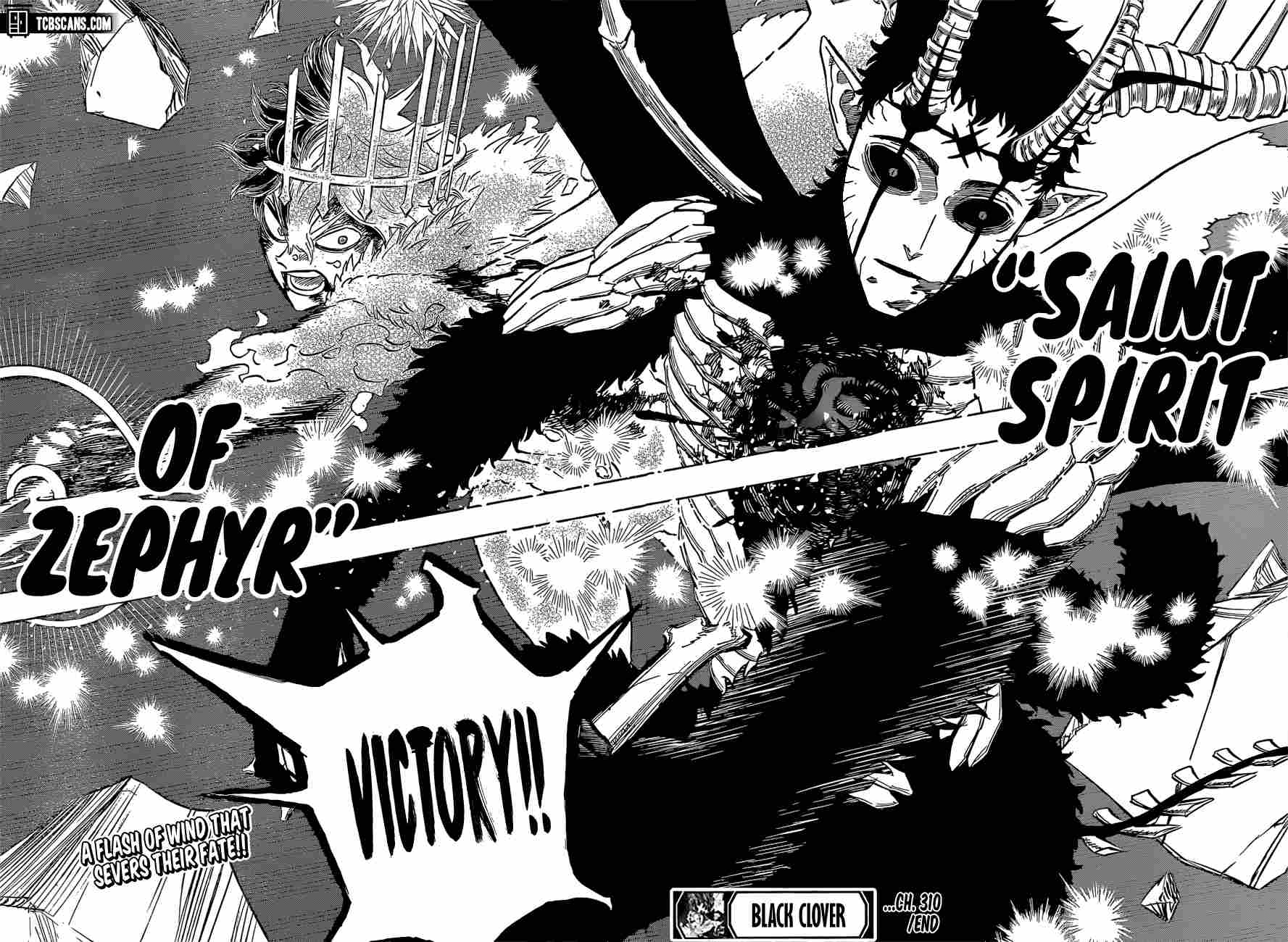 Page 13 of Chapter 310