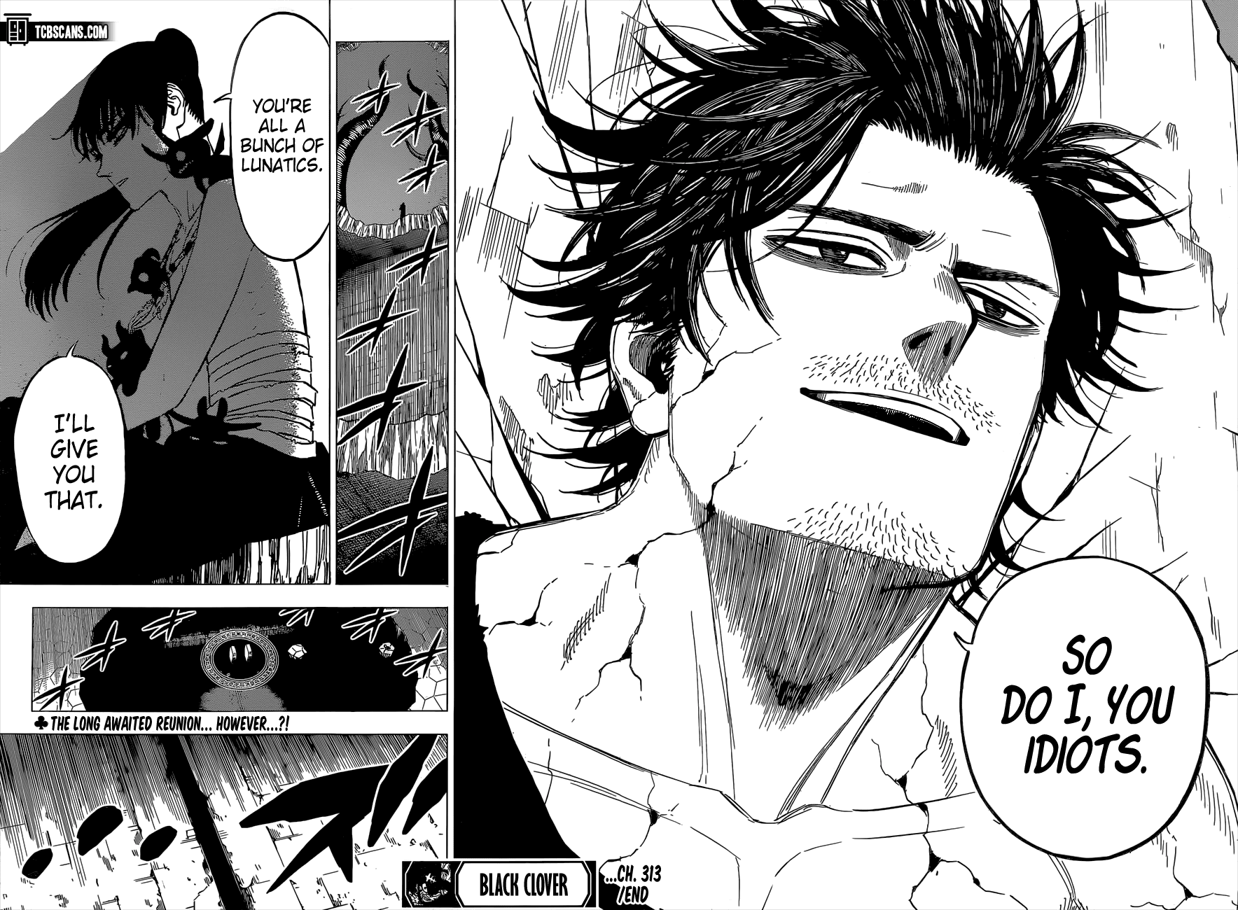 Page 12 of Chapter 313