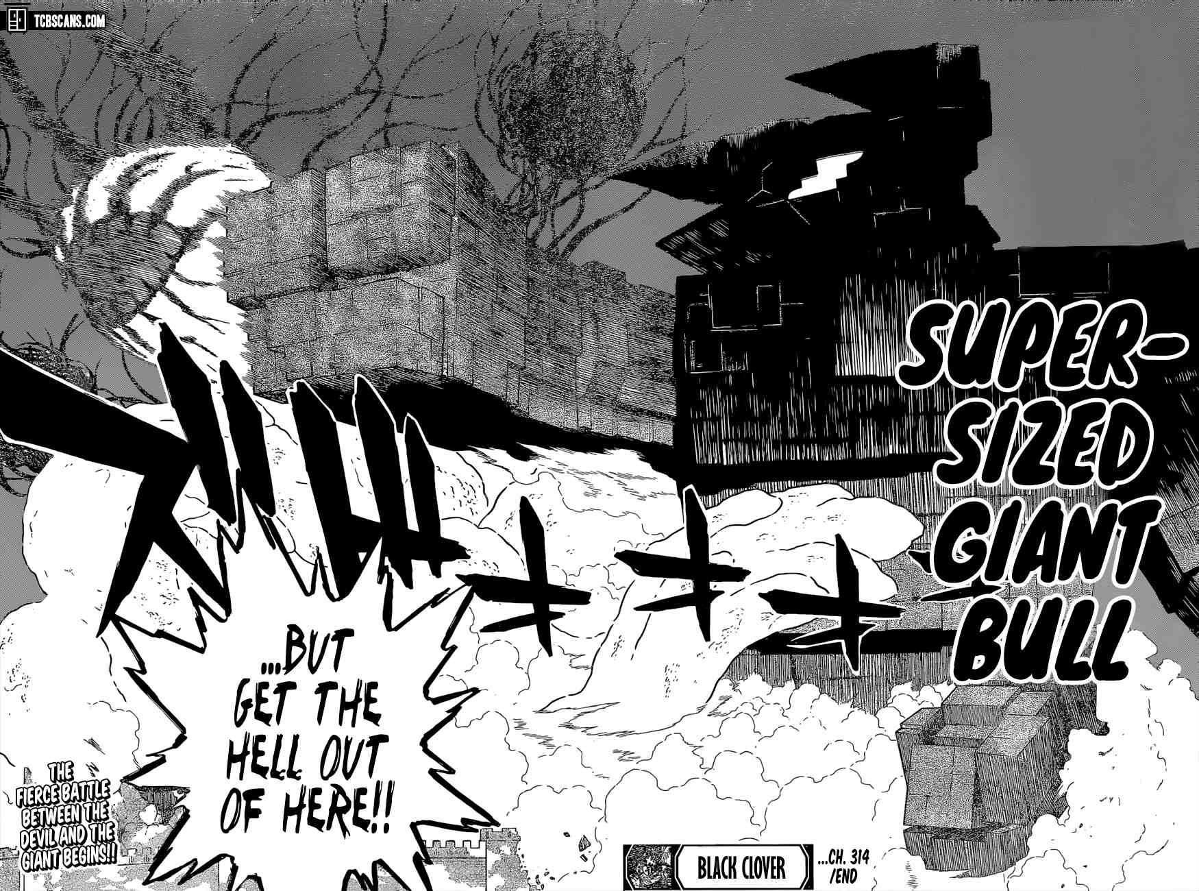Page 11 of Chapter 314