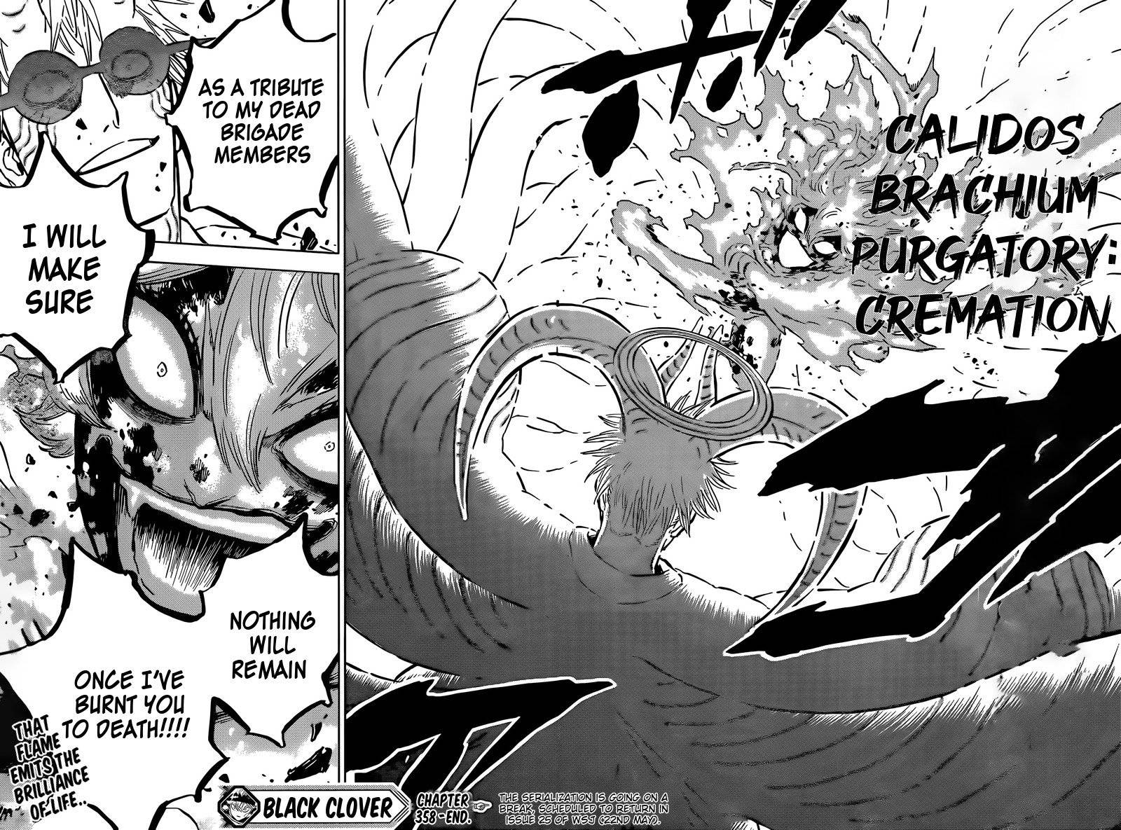 Page 13 of Chapter 358