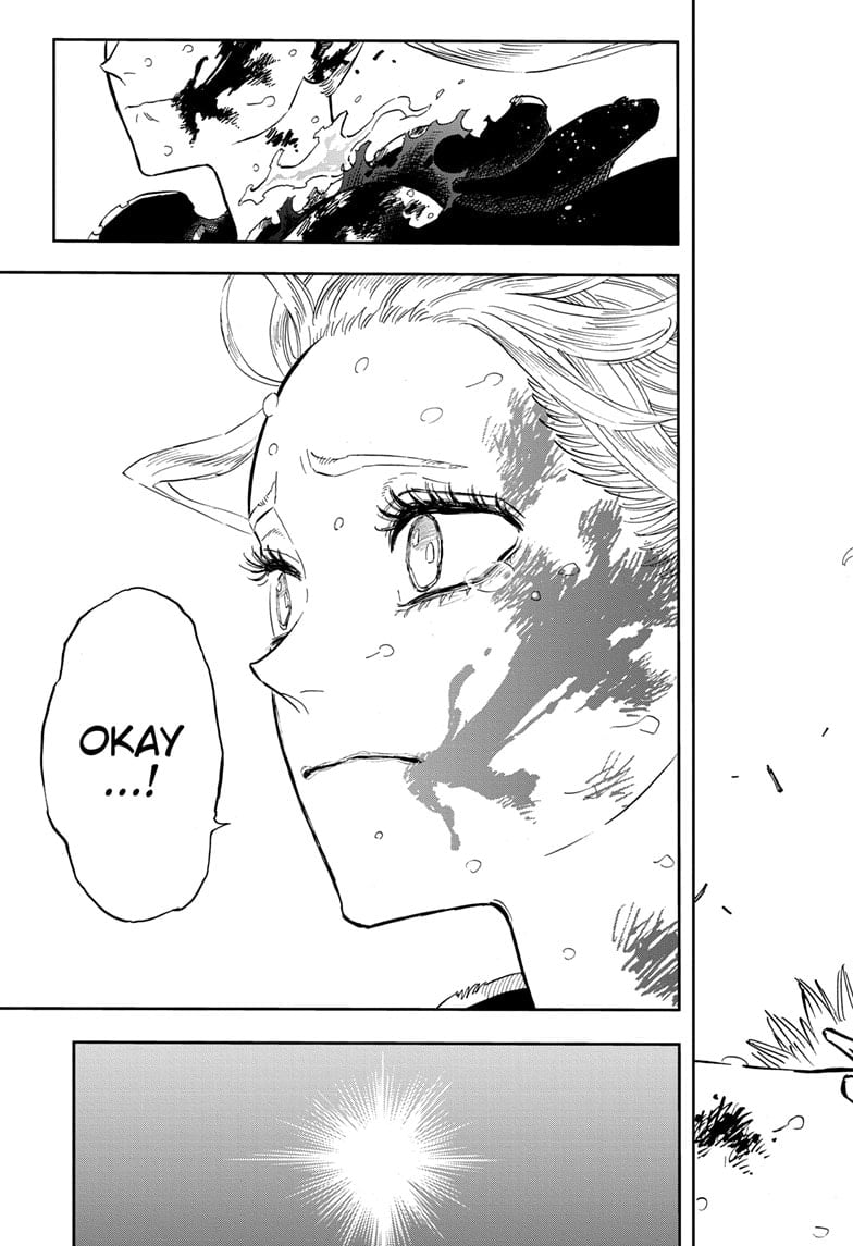 Page 17 of Chapter 373