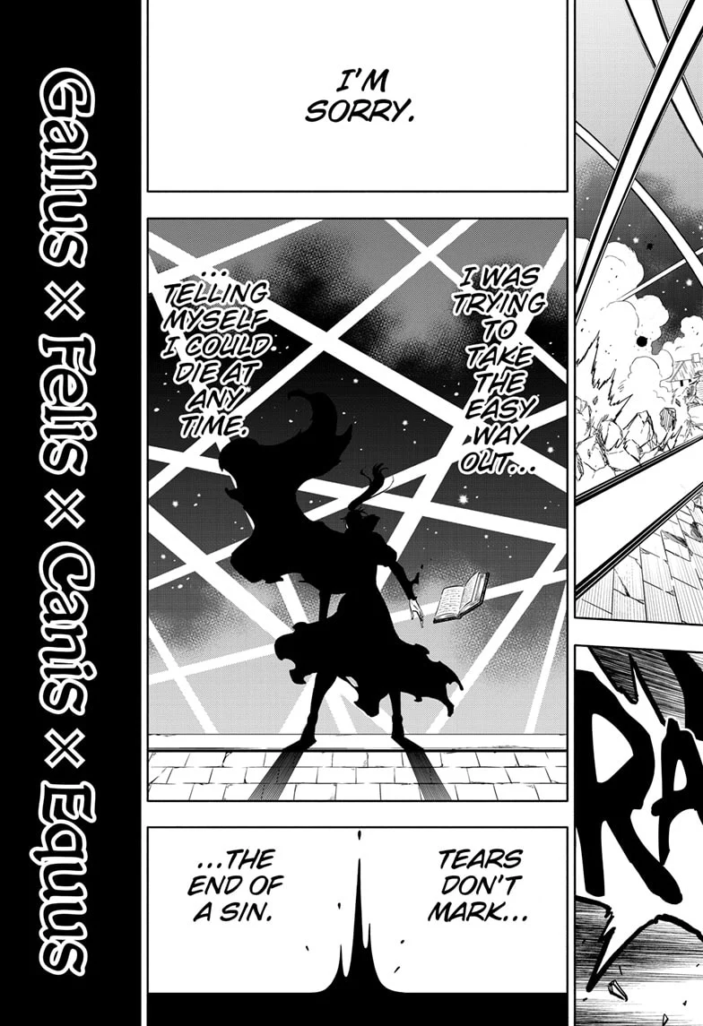 Page 13 of Chapter 376
