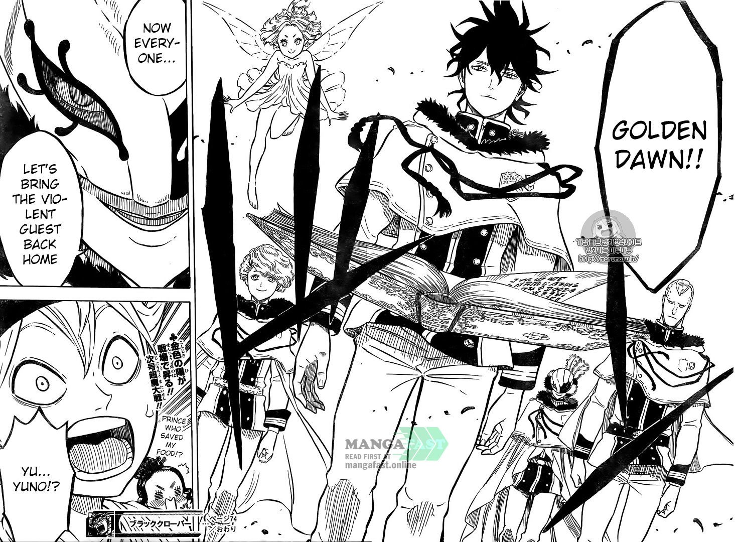 Page 17 of Chapter 74