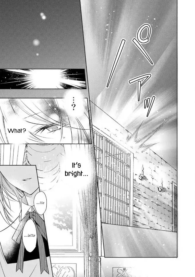Page 13 of Chapter 1