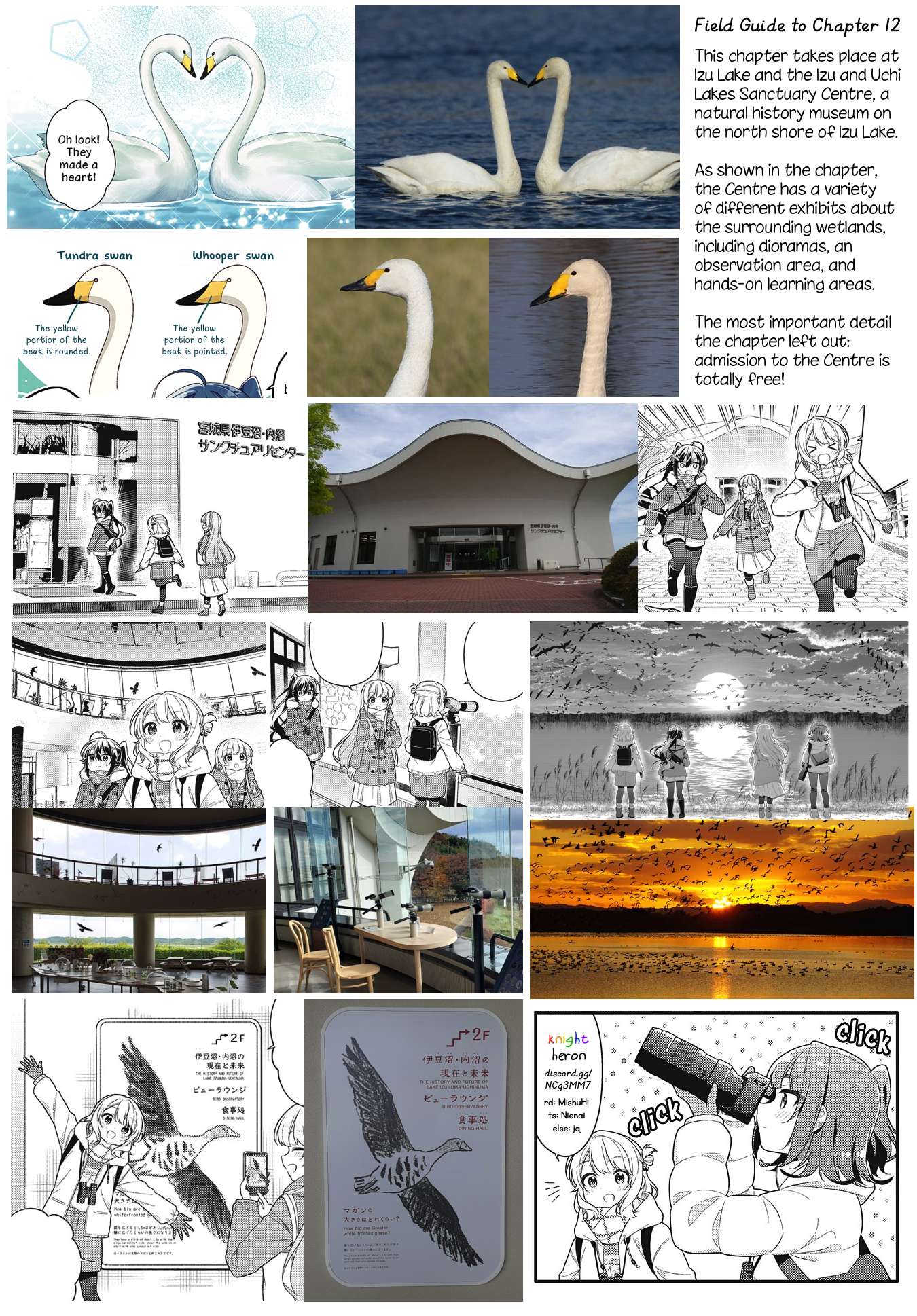 Page 10 of Chapter 12
