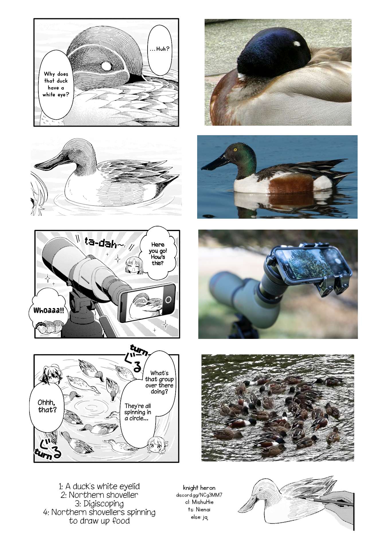 Page 9 of Chapter 16