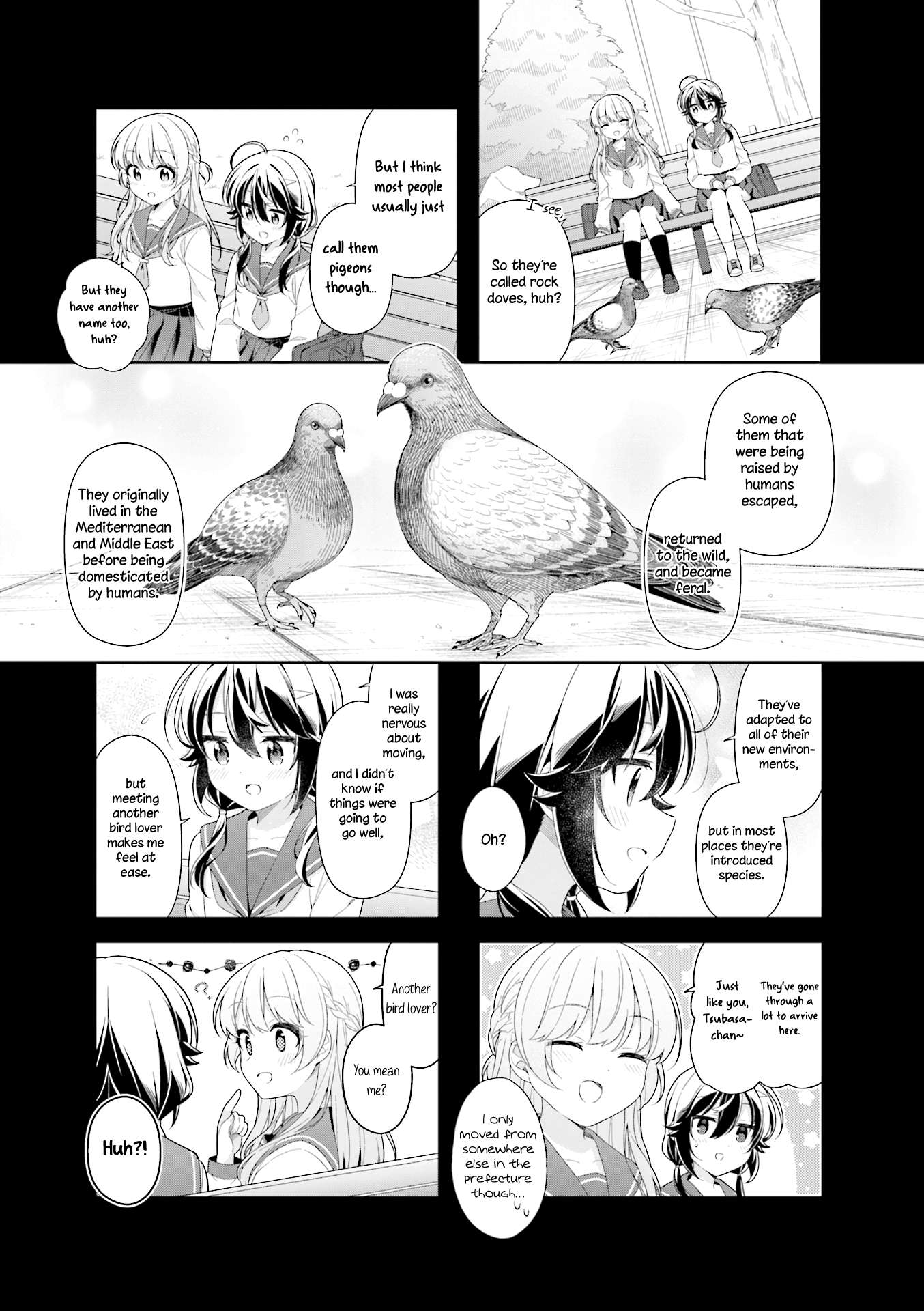 Page 5 of Chapter 17
