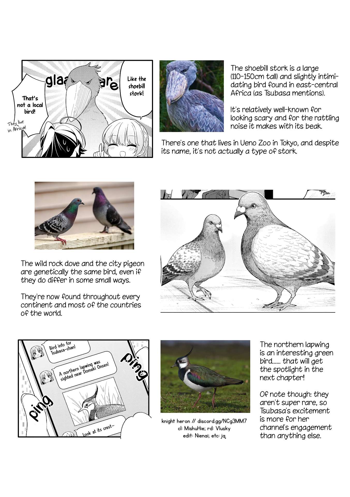 Page 9 of Chapter 17