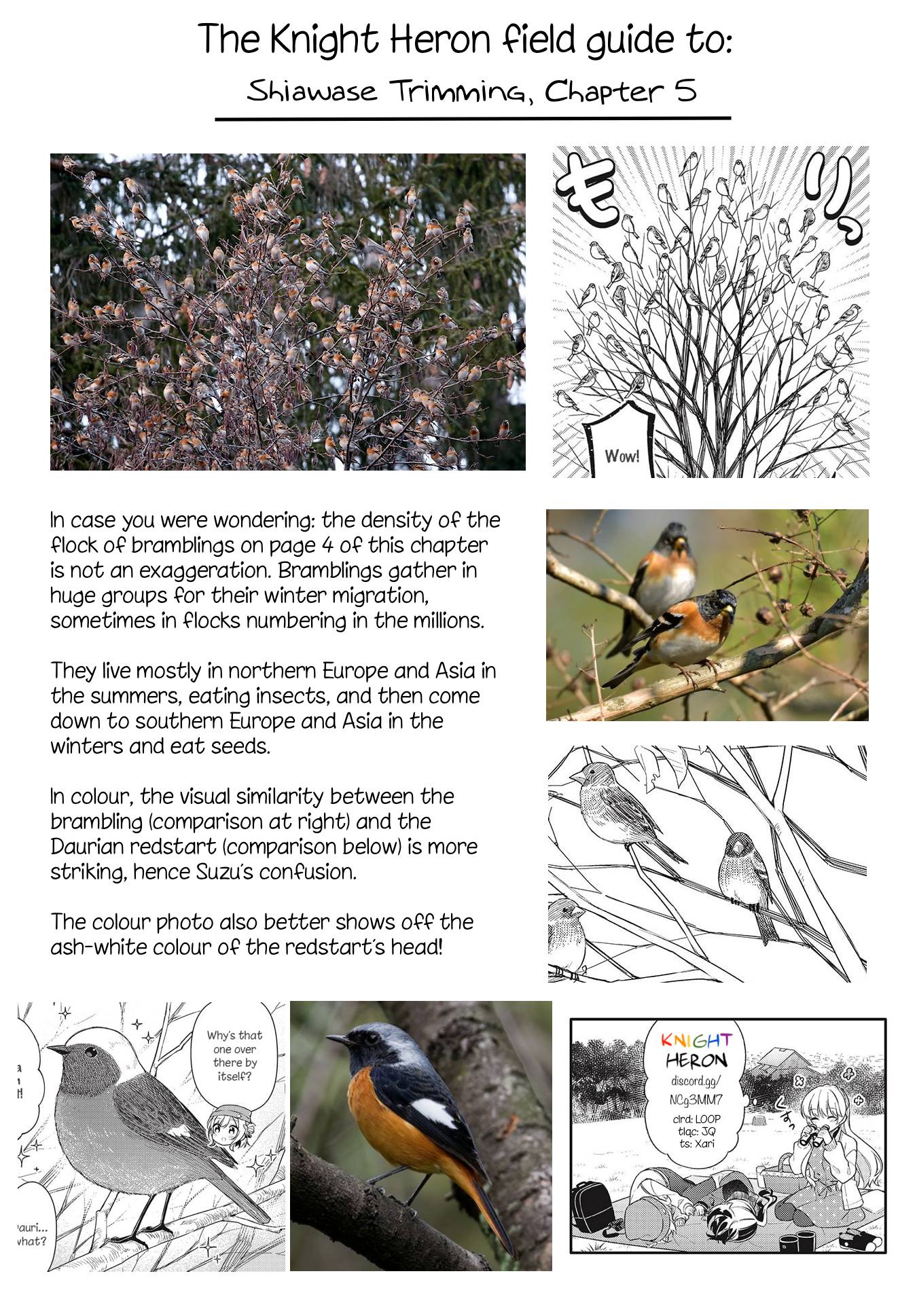 Page 9 of Chapter 5