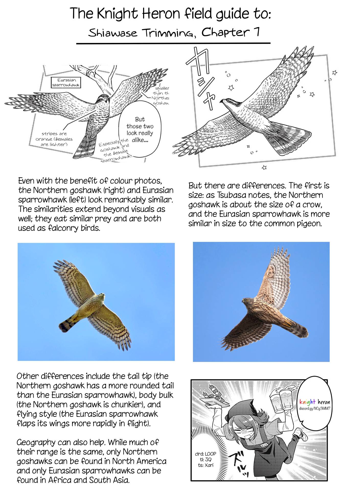 Page 9 of Chapter 7