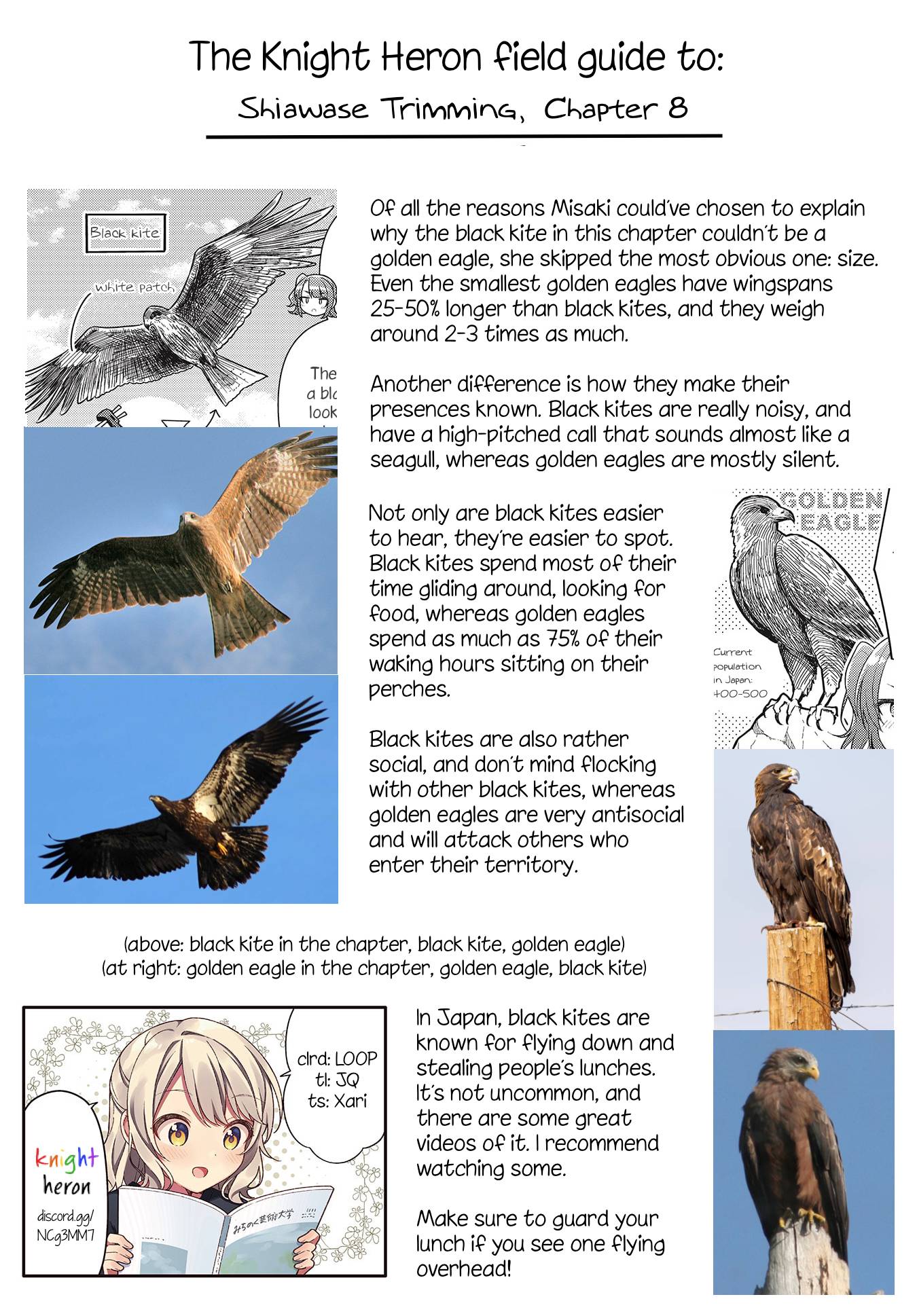 Page 9 of Chapter 8