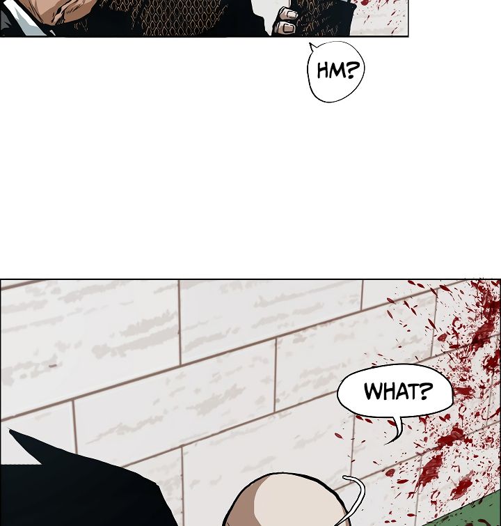 Page 13 of Chapter 17