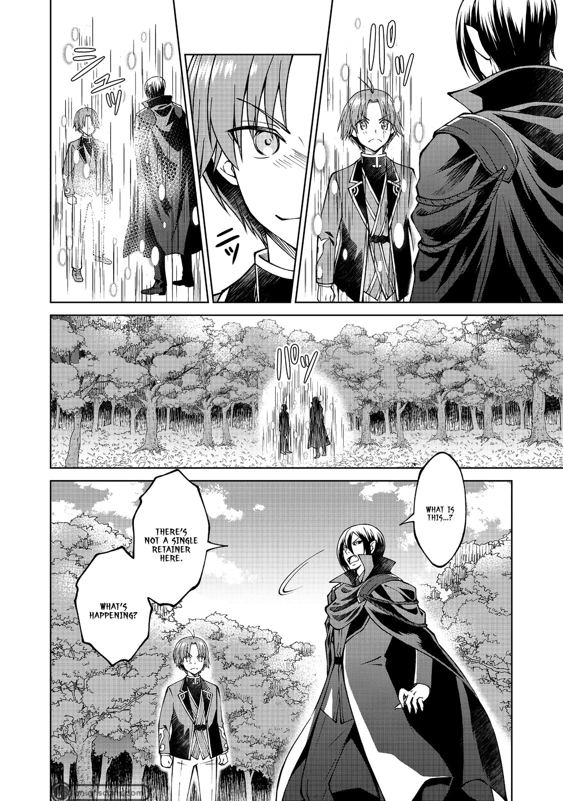 Page 13 of Chapter 17