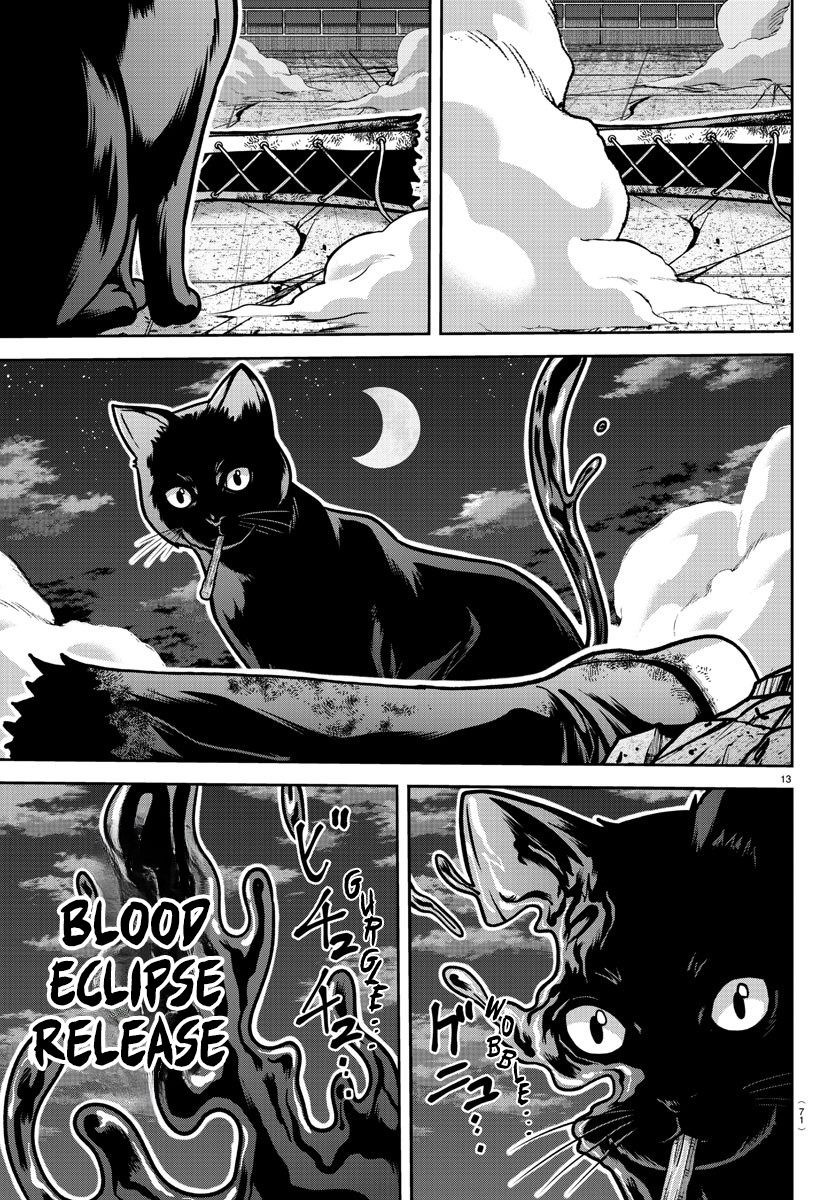 Page 13 of Chapter 184