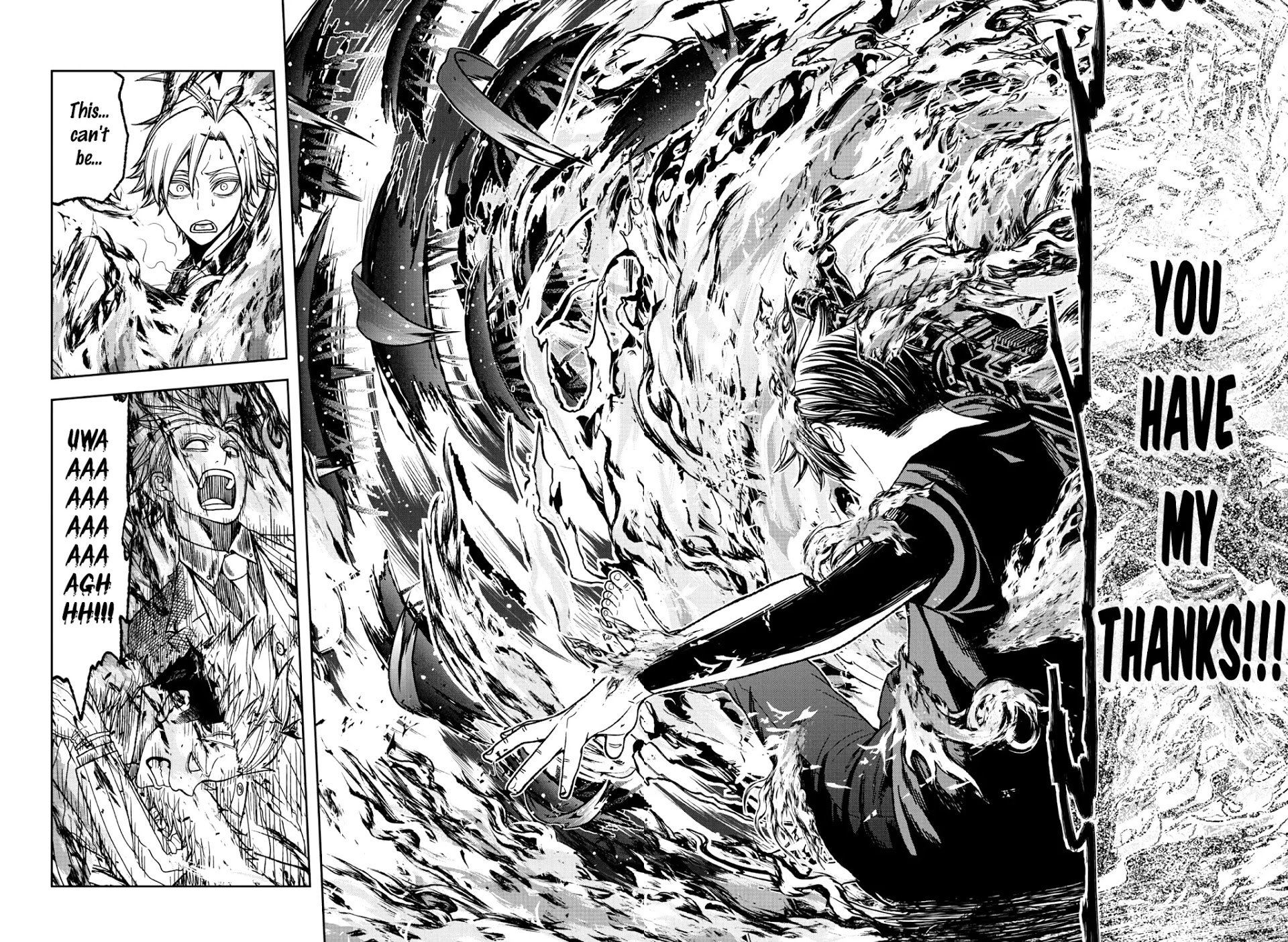 Page 17 of Chapter 33